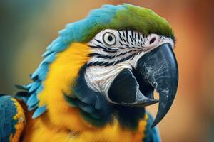 Close up of Blue and yellow Macaw. Generate Ai photo