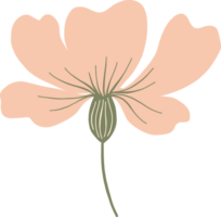 salvaje vistoso flor floreciente png