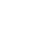 geometrisk mandala spets cirkel png