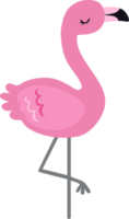 selvagem flamingo animal engraçado ilustração desenho animado png