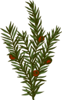 Navidad planta vistoso monocromo elemento png