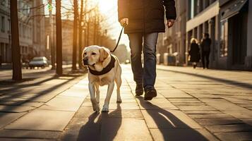 A guide dog helps a visually impaired man walk in city. golden, labrador, Guide Dog. Generative Ai photo