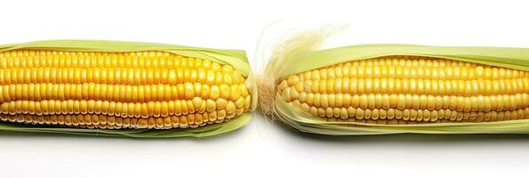 Fresh sweetcorn isolated on white background. Generative Ai photo