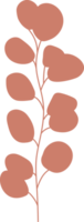 Botanical Soft Color Floral Element Line Art png