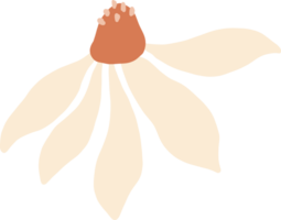 salvaje vistoso flor floreciente png