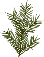 Navidad planta vistoso monocromo elemento png