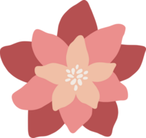 salvaje vistoso ligero rosado flor floreciente png