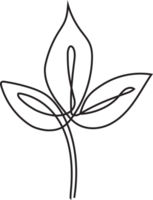 Floral Icons Line Art Element png