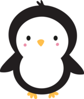 Wild Penguin Animal Funny Illustration Cartoon png