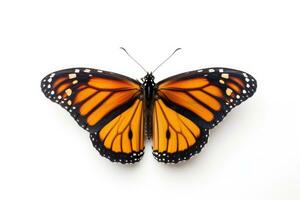 A beautiful monarch butterfly isolated on white background. Butterfly. Generative Ai photo