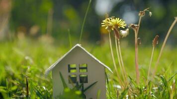 éco Accueil et vivant métaphore avec petit maison dans vert herbe video