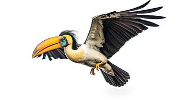 A Great hornbill Flying on a white background. Generative Ai photo