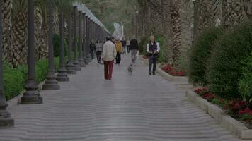 People walking on pedestrian avenue in Alicante, Spain video