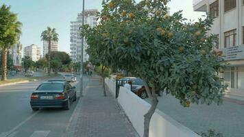 Walking in the street of Antalya, Turkey video
