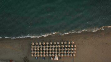 Flying over seaside with chaise longues under straw umbrellas video