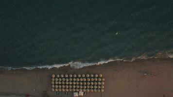 aéreo Disparo de azul mar y hamacas debajo paraguas a el playa video
