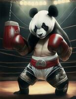 muay thai panda fighter illustration photo