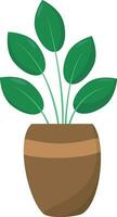 a plant in a pot on a white background vector