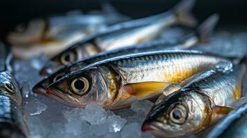 sardinas pescado en hielo en el mercado. sardina pez. generativo ai foto