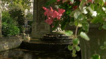 medici fuente en el jardin du Luxemburgo París, Francia video