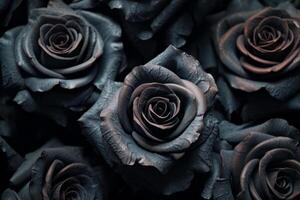 Black Roses Texture Background Generative AI photo