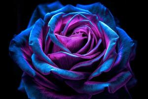 Blacklight Roses Texture Background Generative AI photo