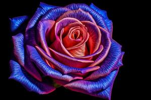 Blacklight Roses Texture Background Generative AI photo