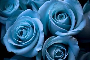 Blue Rose Texture Background Generative AI photo