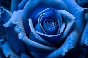 Blue Rose Texture Background Generative AI photo