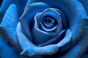 Blue Rose Texture Background Generative AI photo