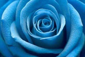 Blue Rose Texture Background Generative AI photo