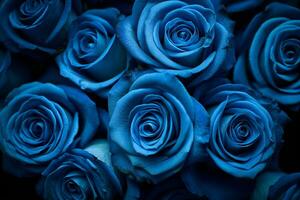 Blue Rose Texture Background Generative AI photo