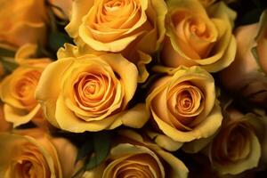 Yellow and White Roses Texture Background Generative AI photo