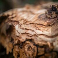 Closeup of a Unique Wooden Texture Generative AI photo