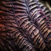 Closeup of an Exotic Texture photo