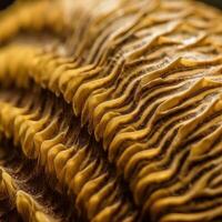 Closeup of an Exotic Texture photo