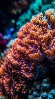 Closeup of an Underwater Coral Reef Generative AI photo