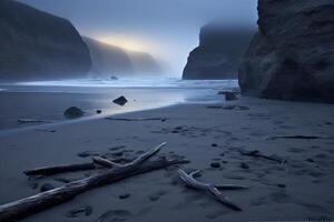 Dark Foggy Beachscape photo