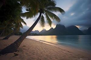 Dark Tropical Beachscape photo