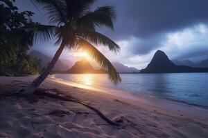Dark Tropical Beachscape photo