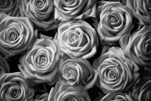 Desaturated Color Black and White Roses Texture Background photo
