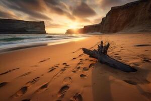 Extra Sandy Scenic Beachscape photo