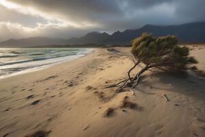 Extra Sandy Scenic Beachscape photo