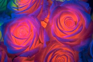 Glowing Rose Texture Background Generative AI photo