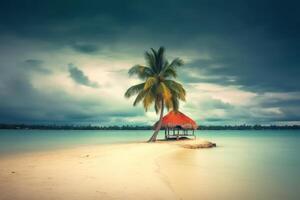 Palm Tree with Scenic Seascape Background photo