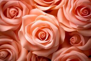 Pink Rose Texture Background photo