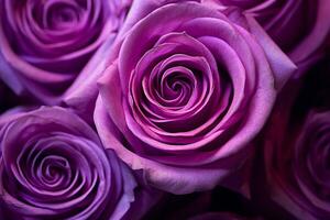 Purple Roses Texture Background Generative AI photo