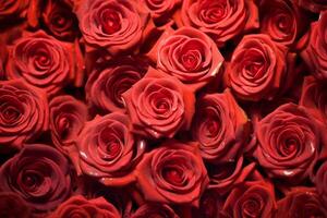 Red Roses Texture Background Generative AI photo