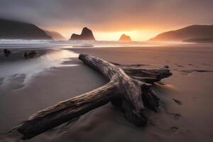 Washed Up Debris on a Scenic Beachscape photo