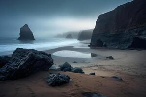 Washed Up Debris on a Scenic Beachscape photo